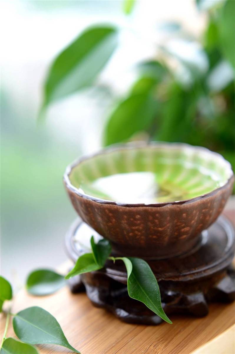 Aprovecha la energía del té verde