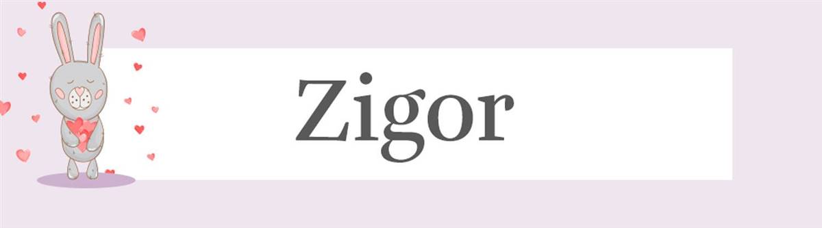 Zigor