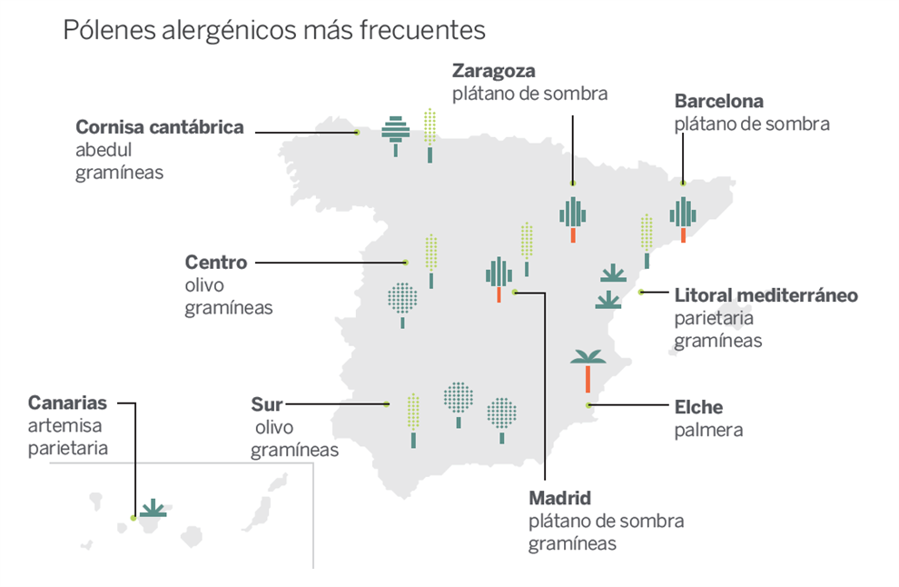 pólenes