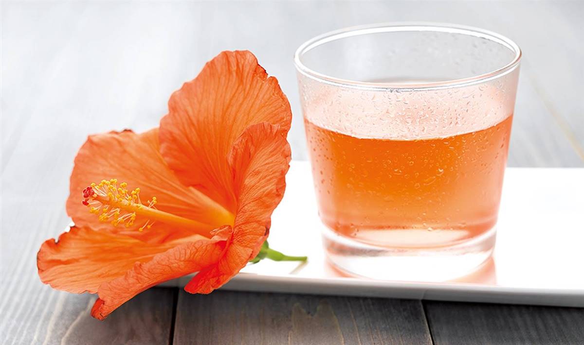 hibisco