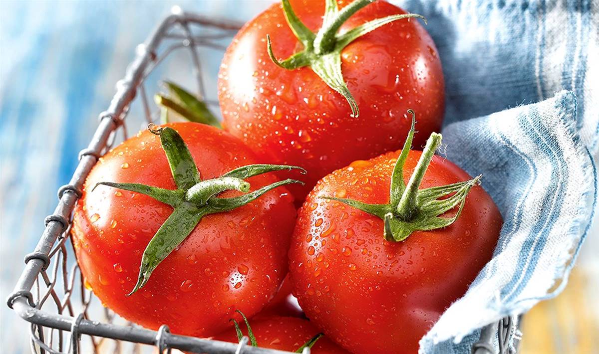 tomatess