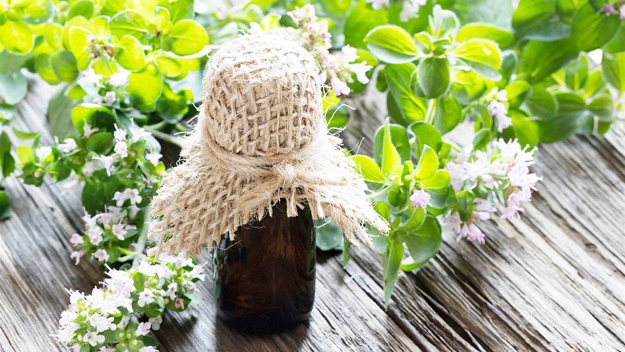 10 plantas que rebajan la inflamación de encías