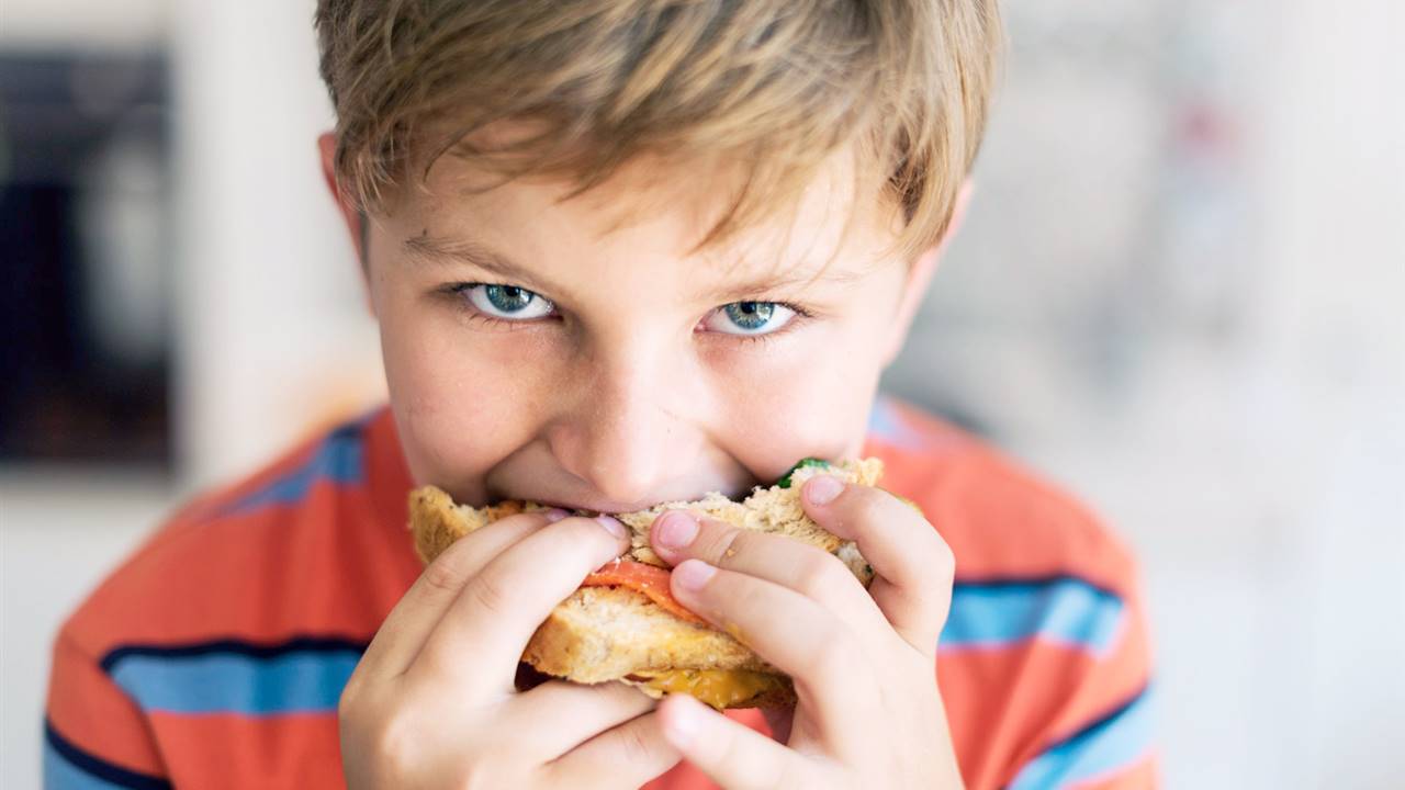 La obesidad en niños podría deberse a una alteración cerebral