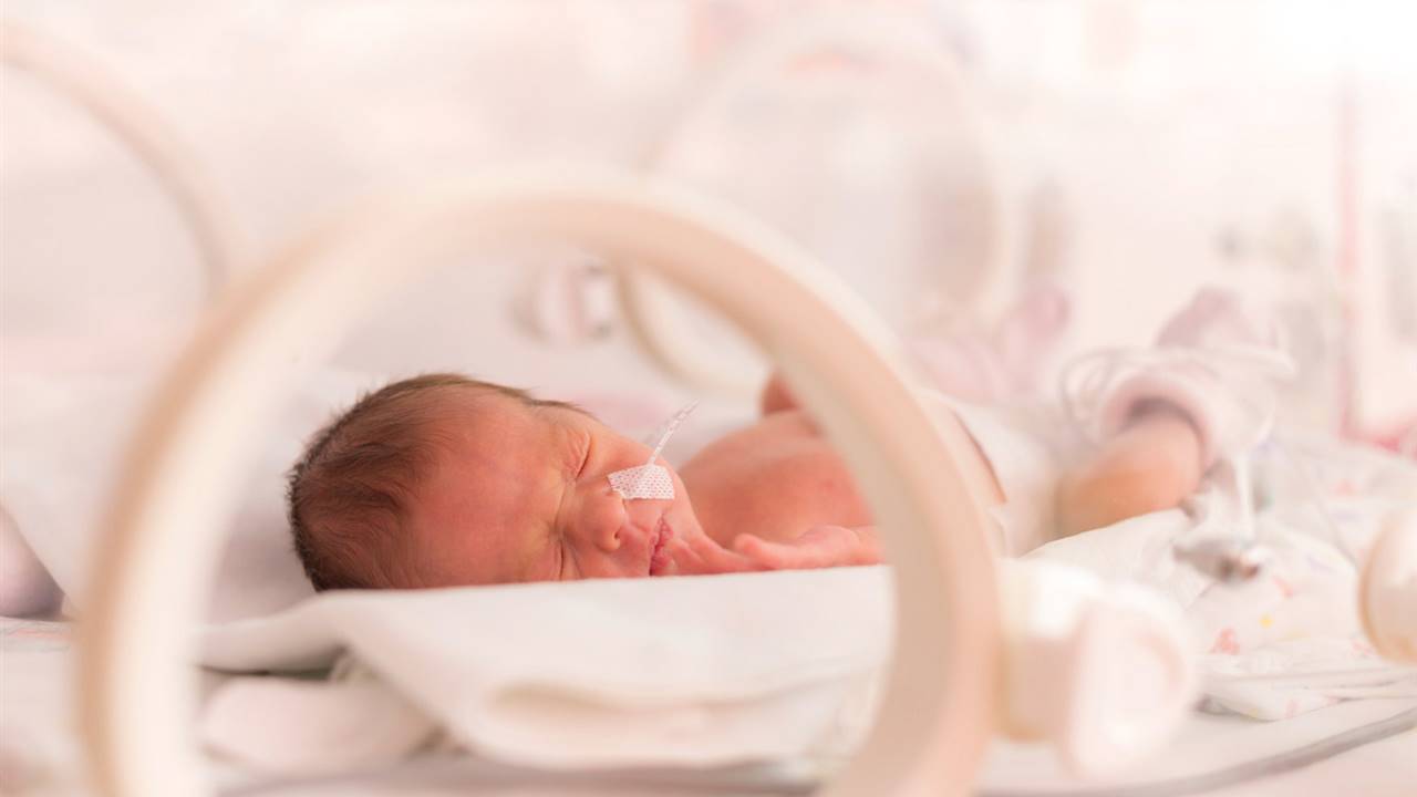 Se crea una placenta artificial para salvar prematuros