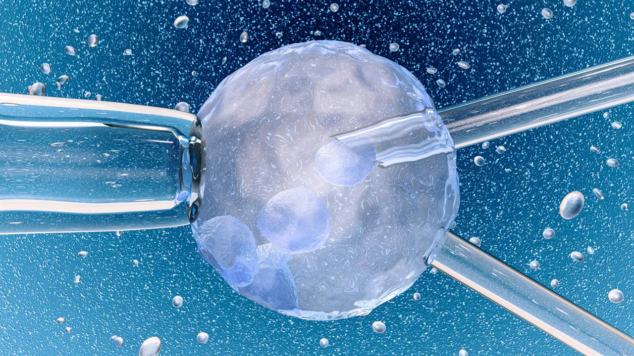 Inteligencia artificial para mejorar el éxito de los tratamientos de fertilidad