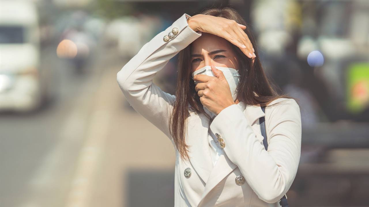 La contaminación podría favorecer la dispersión del virus