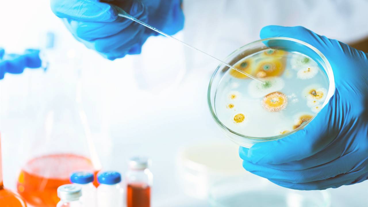 La resistencia a los antibióticos provoca más muertes que el cáncer de pulmón