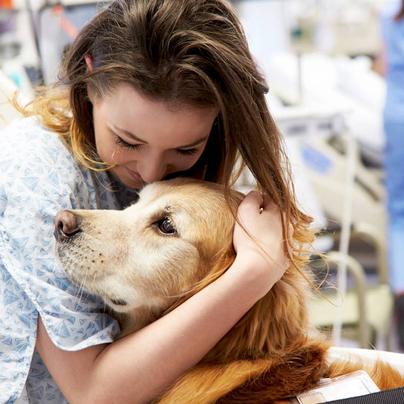La terapia asistida con perros ayuda a recuperarse tras estar en la UCI