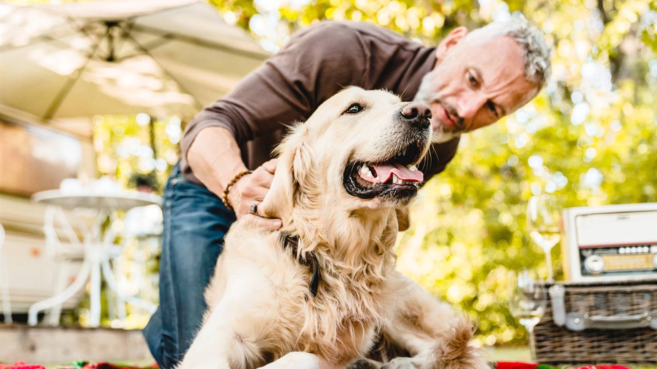 ¿Puede tener artrosis mi perro? Las señales en las que debes fijarte
