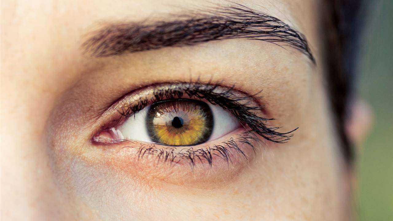 Qué es la retinosis pigmentaria, causas y síntomas