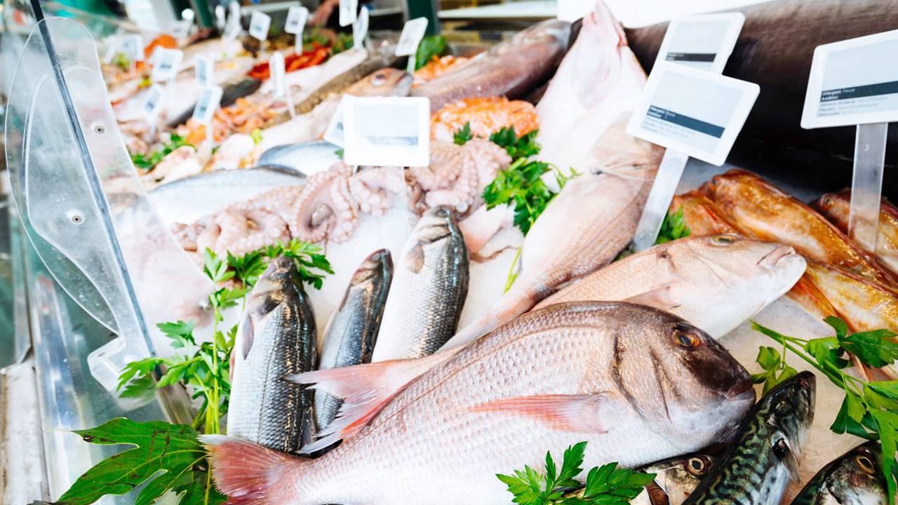 Se detecta plástico en pescado de consumo habitual como sardinas, merluza y anchoas