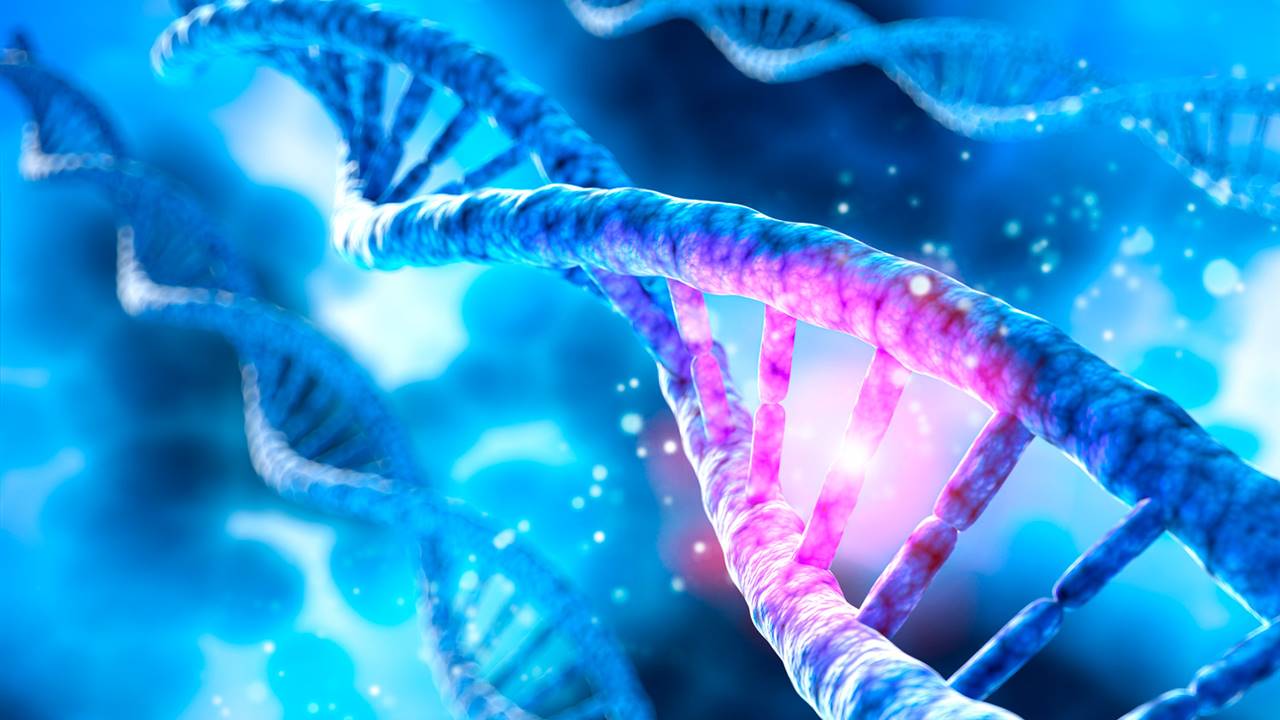 ¿Qué es el test de portadores de enfermedades genéticas?