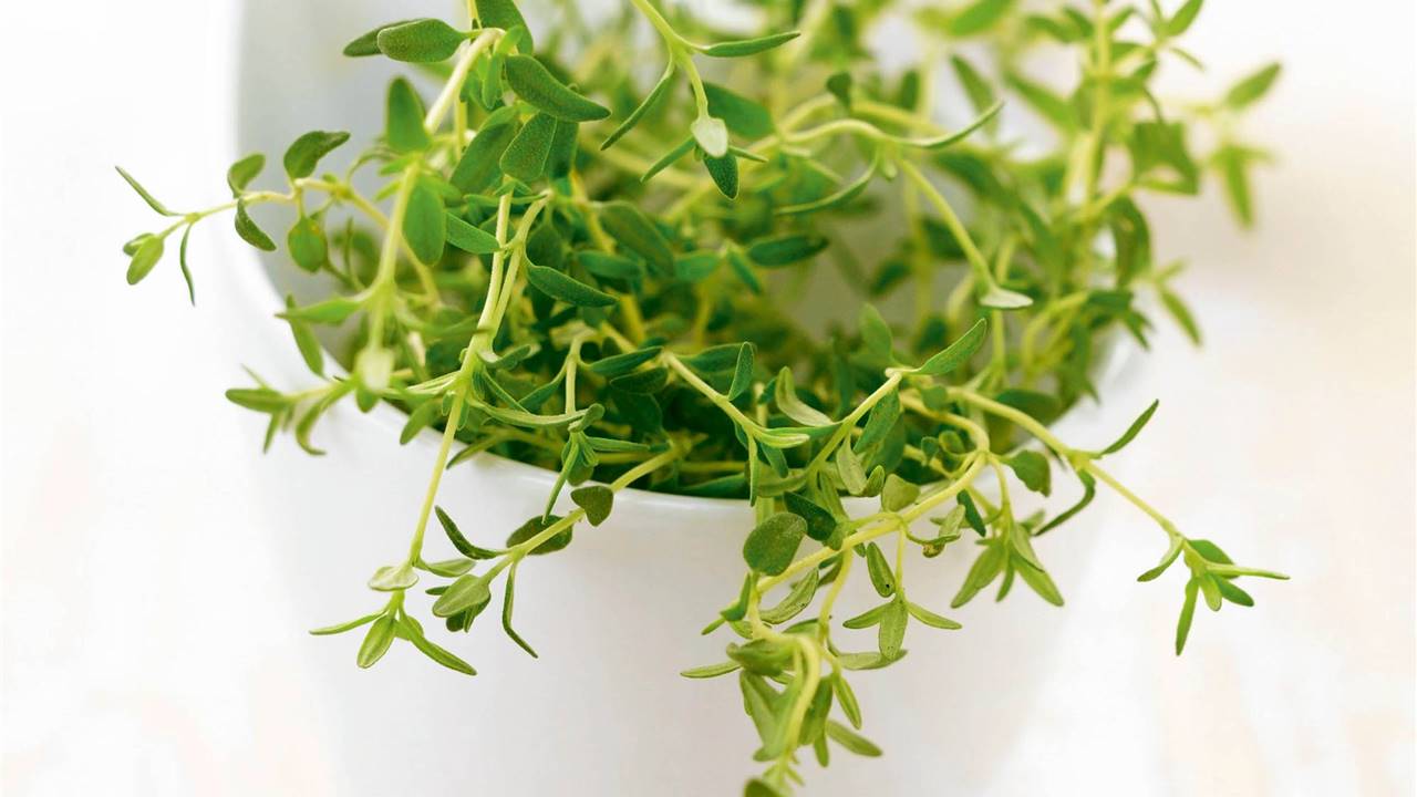 5 beneficios de las hierbas aromáticas que debes tener en la cocina
