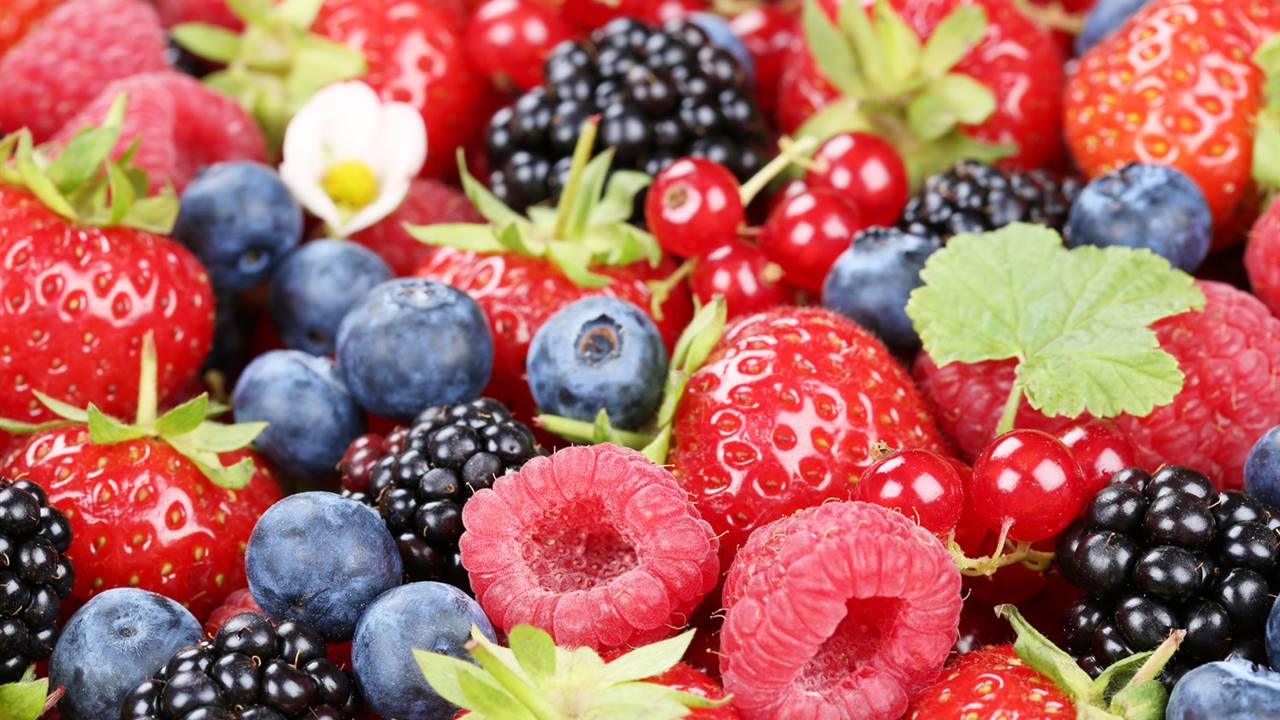 Un compuesto de frutas y bayas podría ayudar a revertir el párkinson