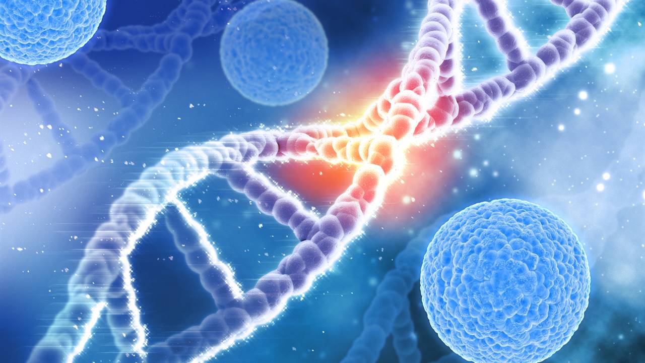 Un reloj epigenético para predecir cómo evolucionará el cáncer