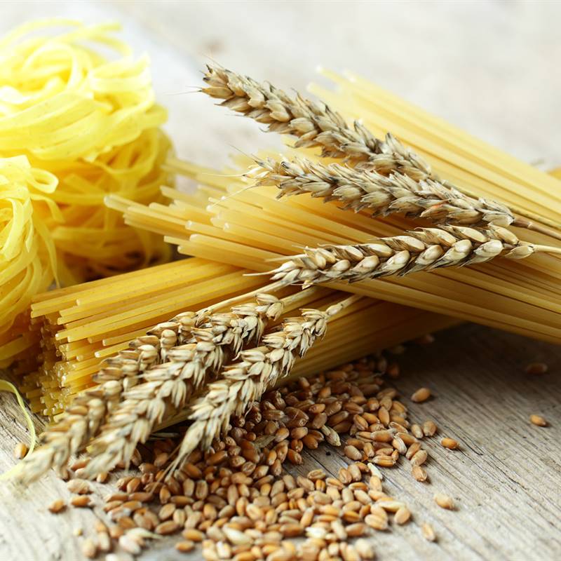 Usar nitrógeno como fertilizante aumenta el gluten del trigo