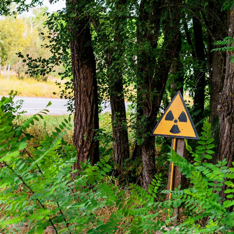 Aumenta la radiación en Ucrania: ¿por qué y puede ser peligroso para Europa?