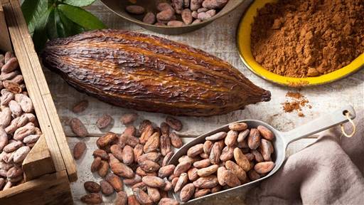 Los flavanoles del cacao reducen el riesgo cardiovascular