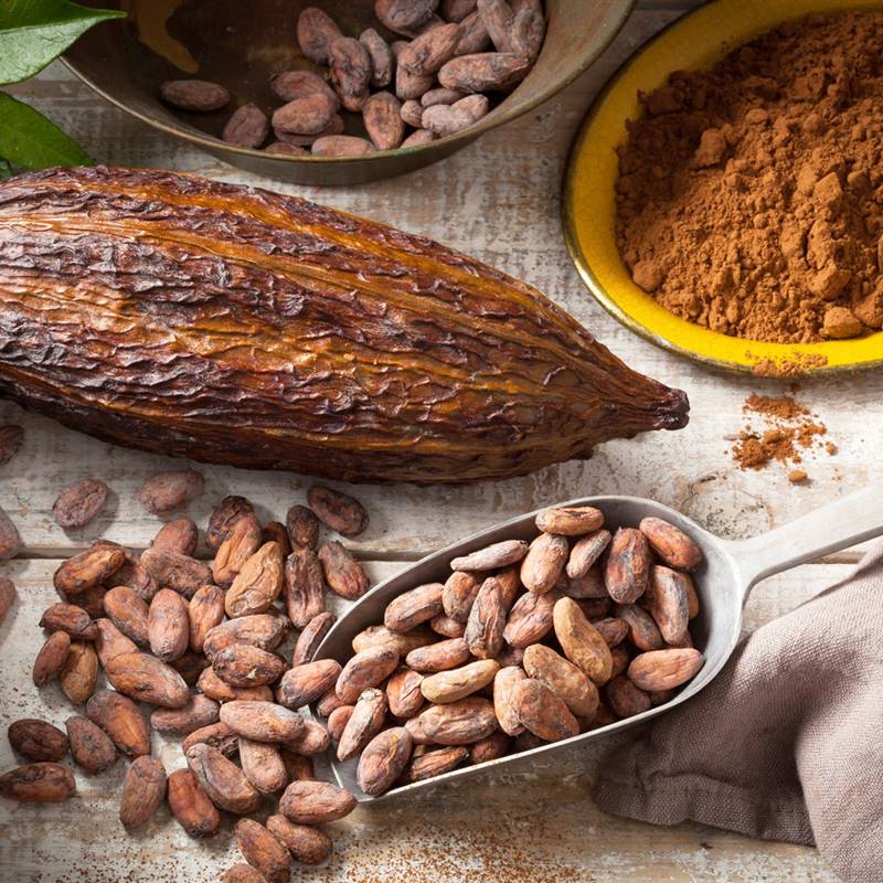 Los flavanoles del cacao reducen el riesgo cardiovascular