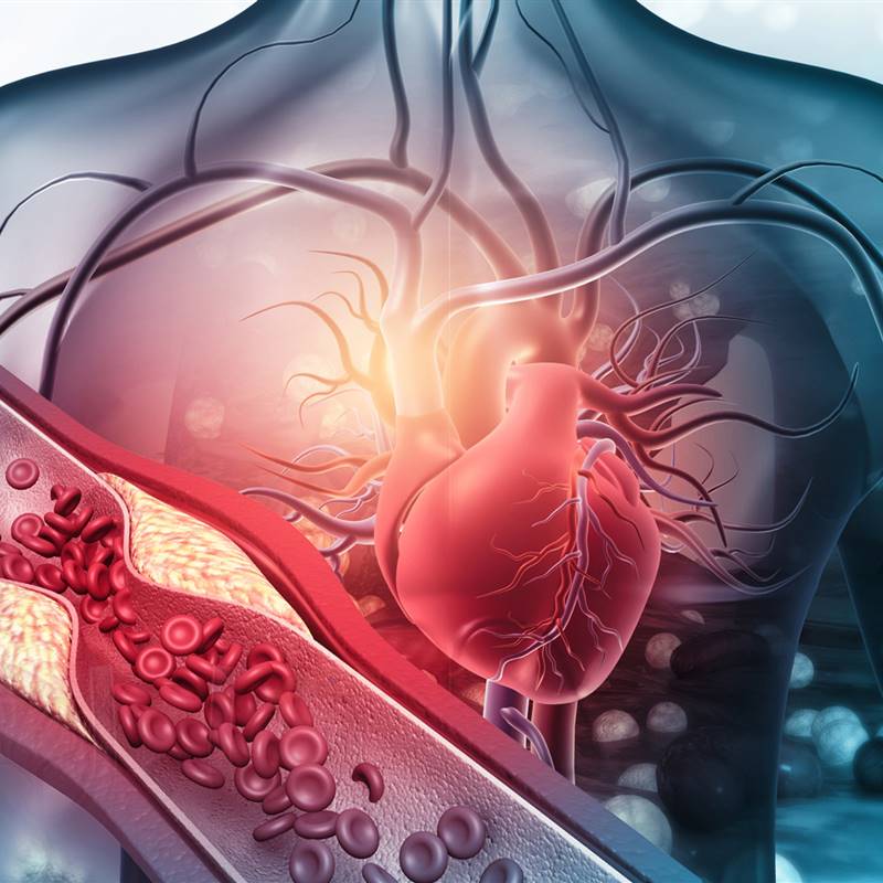 La médula ósea podría estar implicada en los problemas de corazón