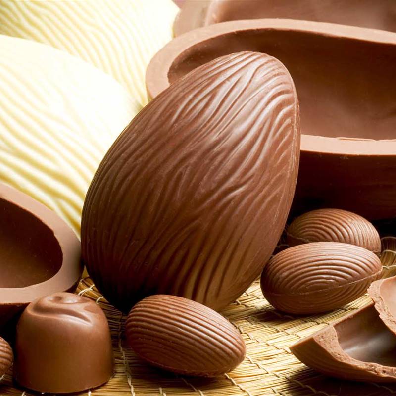 La salmonela en el chocolate és más común de lo que pensamos