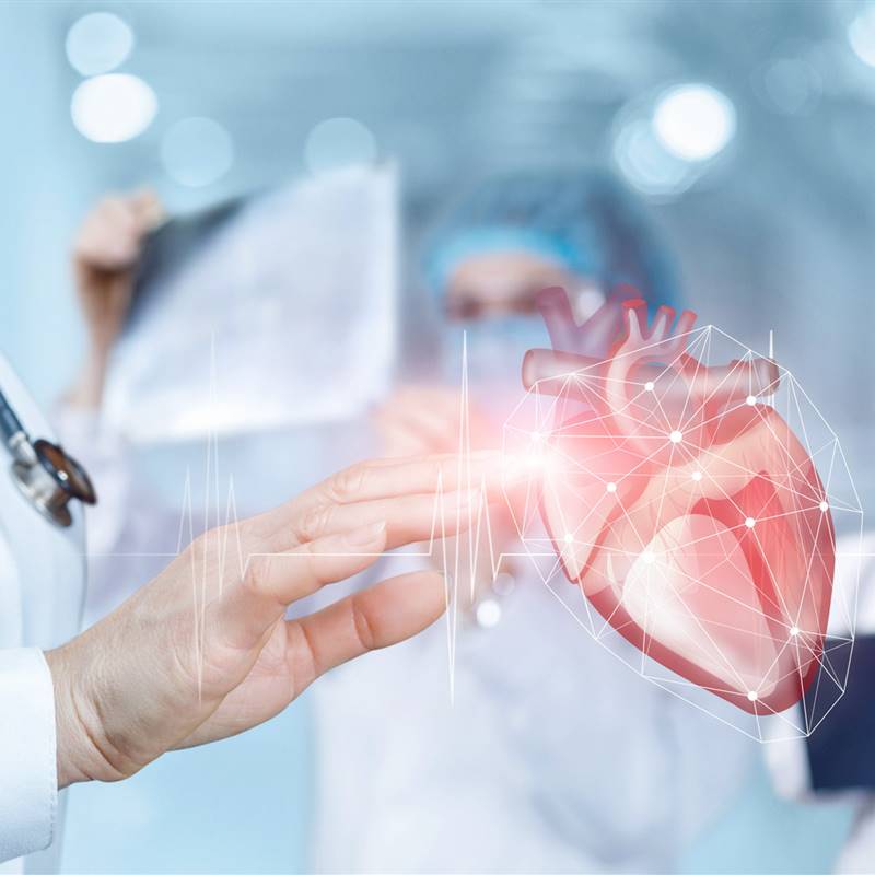 Detectan una hormona que regenera el corazón en un infarto