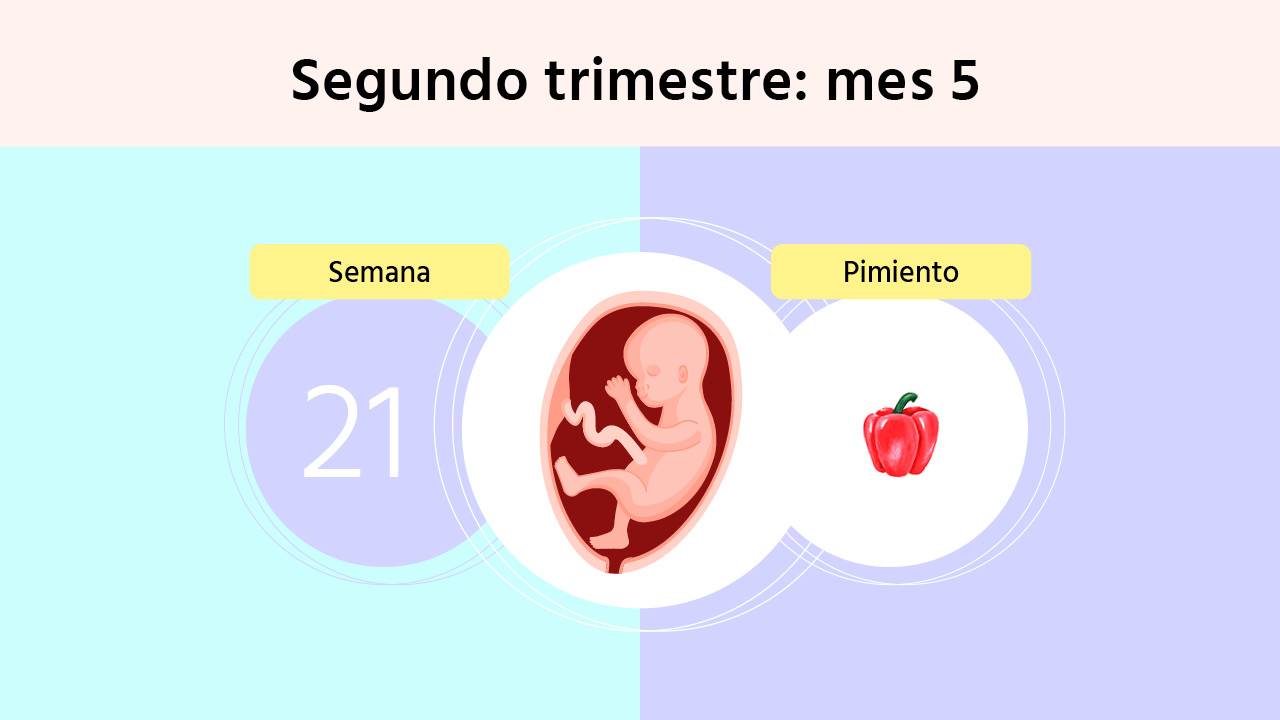 Semana 21 de embarazo: ¿notas ya los movimientos del bebé?