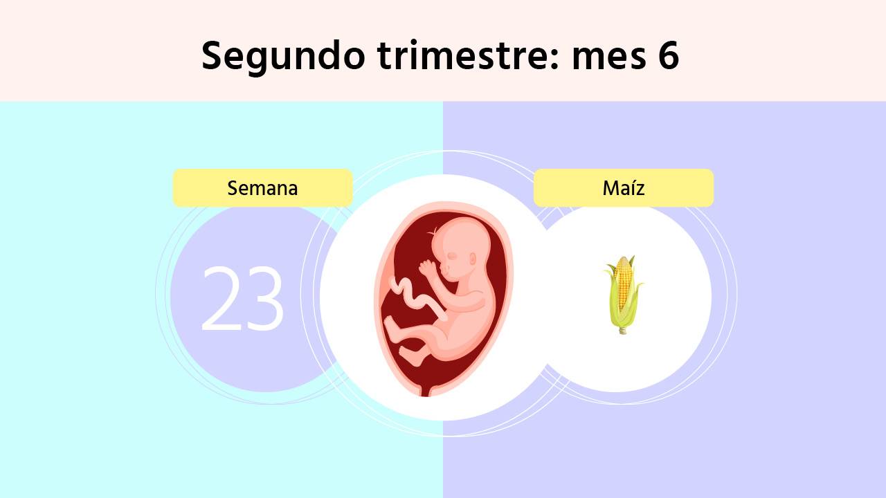 Semana 23 de embarazo: puedes notar las primeras contracciones (Braxton Hicks)