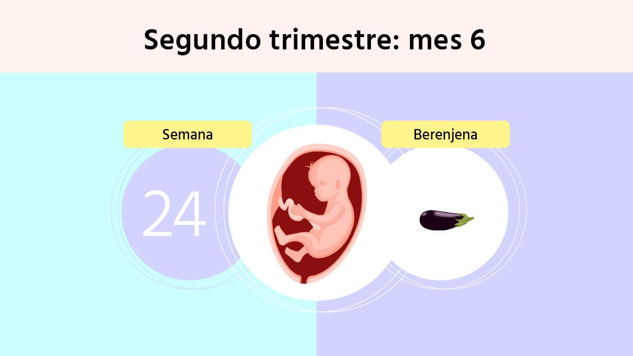 Semana 24 de embarazo: este mes te pueden hacer la prueba del azúcar (Test de O'Sullivan)