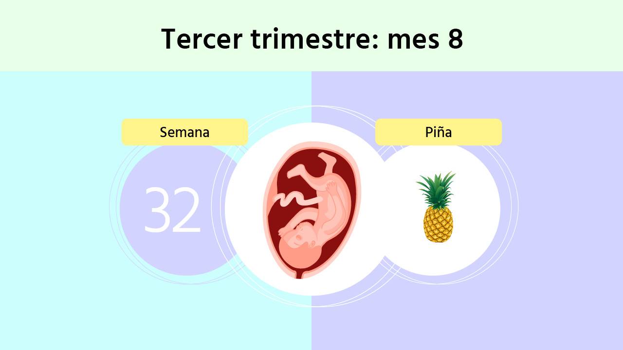 Semana 32 de embarazo