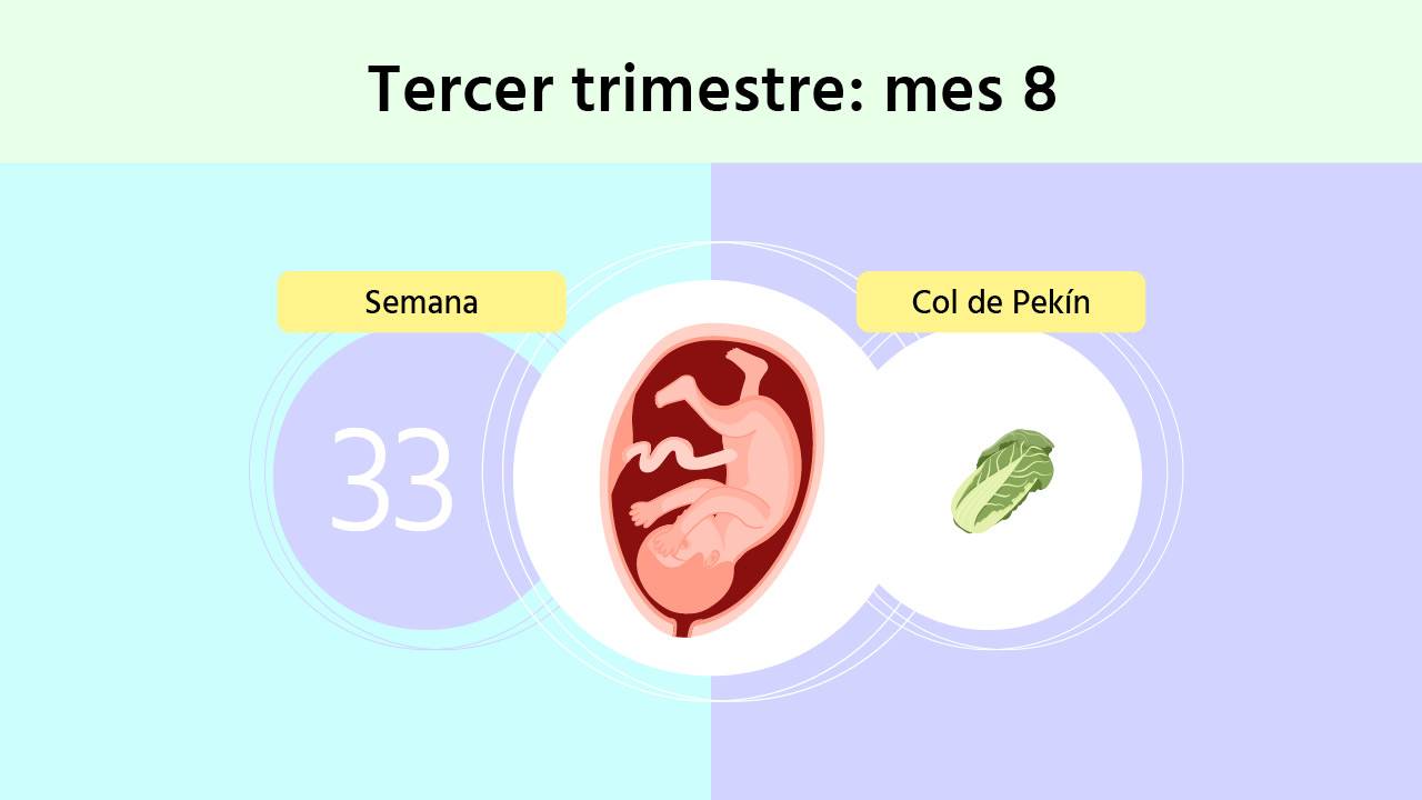 Semana 33 de embarazo
