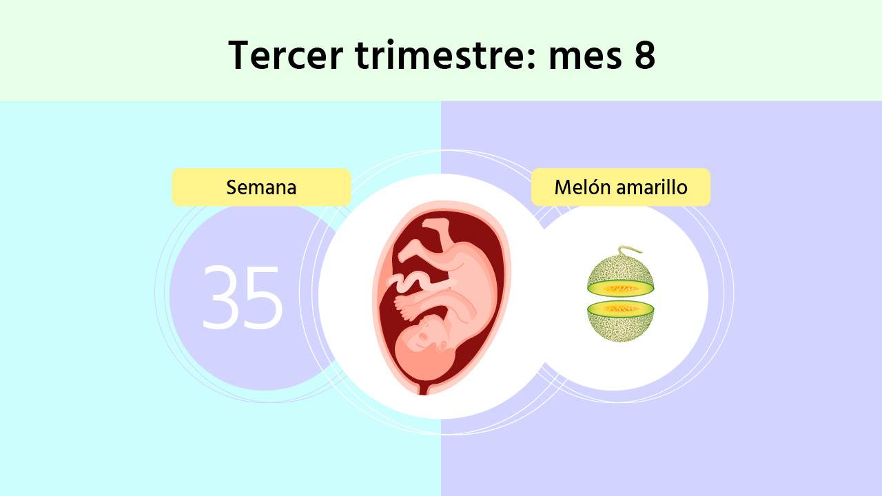 Semana 35 de embarazo: la prueba del estreptococo