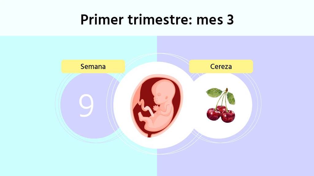 Semana 9 De Embarazo Qué Cambios Nota La Madre Y Cuáles Son Los Riesgos 