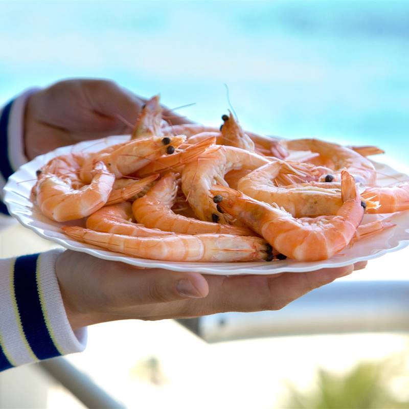 Comer marisco es sano o le afecta la contaminación del mar?
