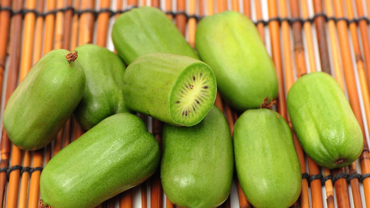 ¿Conoces el kiwi enano? Se come de un bocado y tiene más antioxidantes 