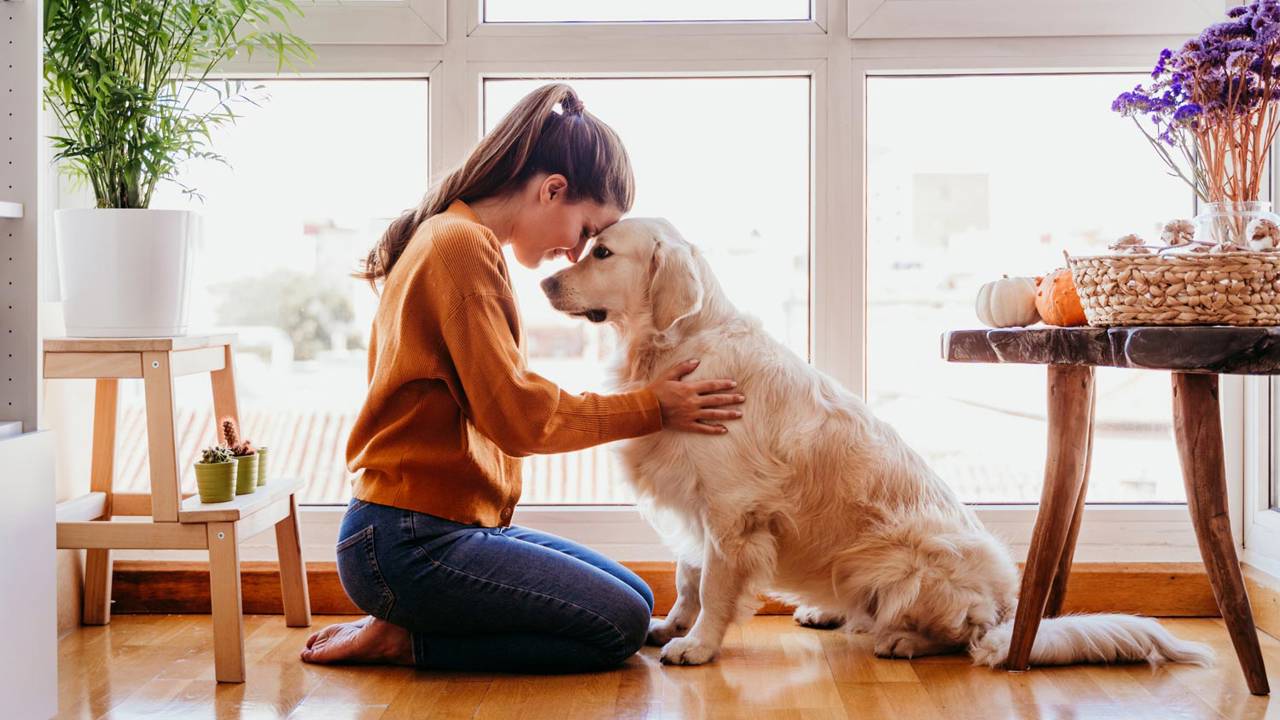 Terapia con animales: qué es y cuáles son sus beneficios 