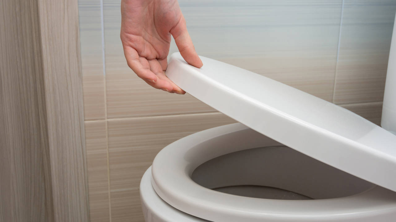 Diseñan un mini vibrador para solucionar el estreñimiento