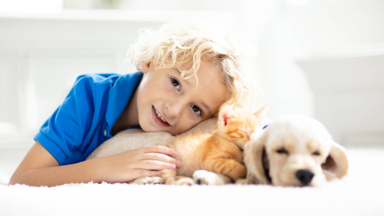 Tener perros o gatos puede hacer que tu hijo tenga menos alergias