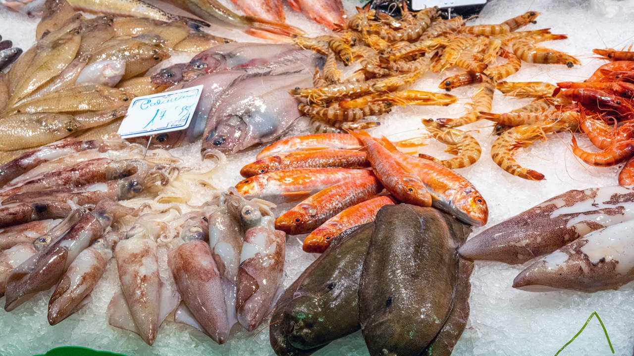 Los expertos de Harvard se ponen de acuerdo: este es el pescado más barato y saludable de las pescaderías españolas pero comemos poco