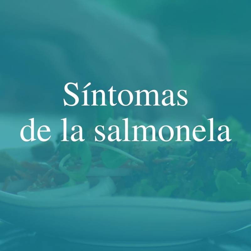 Síntomas de la salmonela