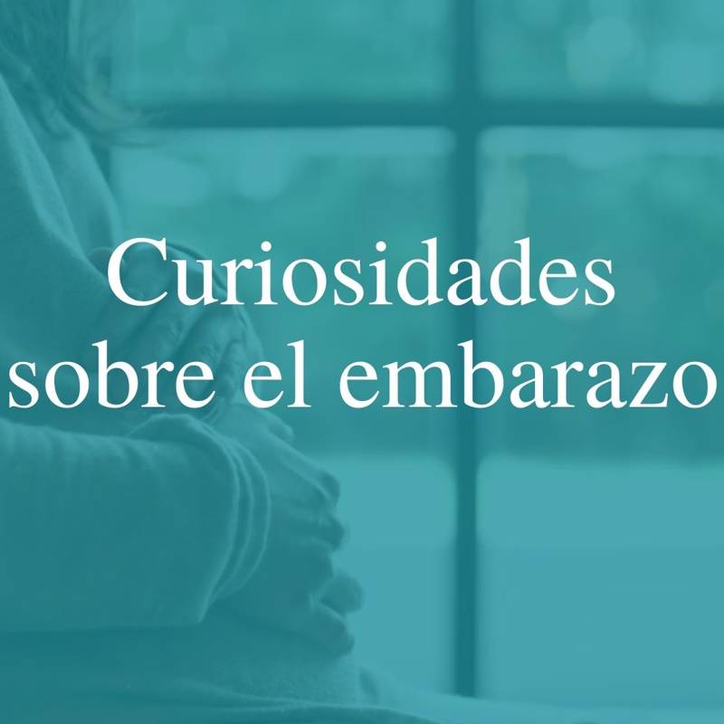 Curiosidades sobre el embarazo