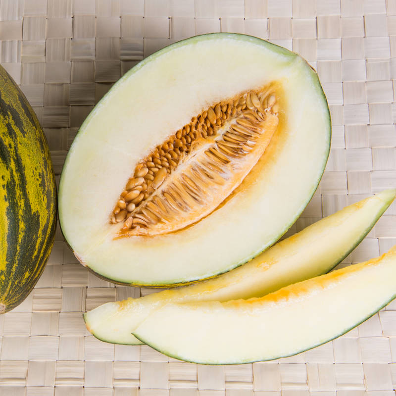 DIETA MELON