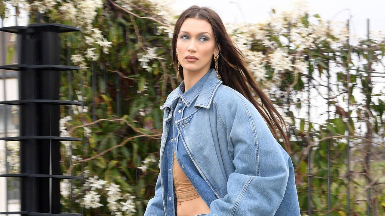 Qué es la enfermedad de Lyme o "de la garrapata" que padece Bella Hadid