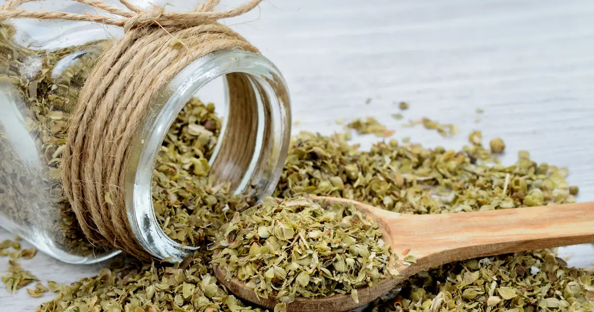 Las 10 enfermedades que el orégano puede ayudar a combatir