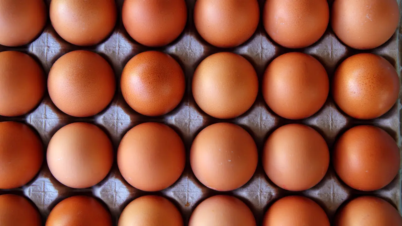 ¿Qué pasa si como un huevo cada día?