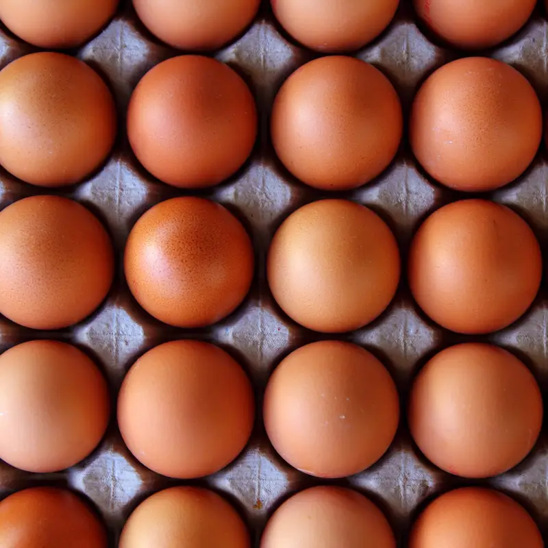 ¿Qué pasa si como un huevo cada día?