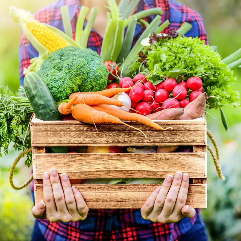 Las 5 verduras con efecto antiinflamatorio que puedes incluir en tus cenas rápidas
