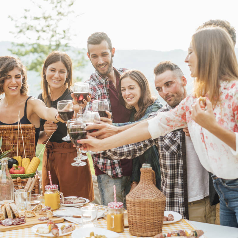 grupo amigos comiendo en el campo felices brindado con vino