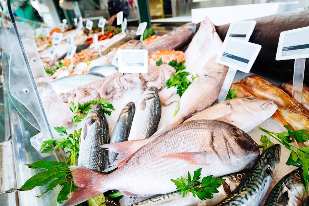 Se detecta plástico en pescado de consumo habitual como sardinas, merluza y anchoas