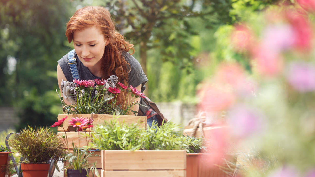 Ni pasear ni salir a cenar: el hábito que tienes que practicar en vacaciones para cultivar la felicidad según la Universidad de Princeton